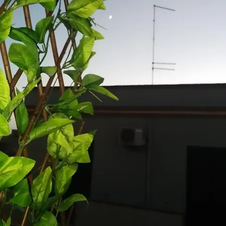 Bed & Breakfast La Bussola 3*